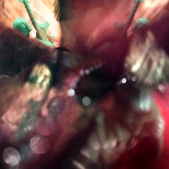 5.-The_Trench__The_Trellis