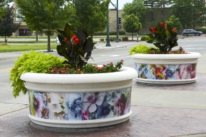 Blooming Planters