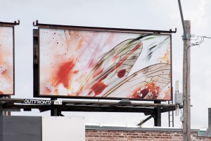 Charlotte Street Artboards