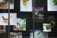 4.-close-up2