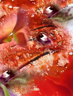 Collage-32