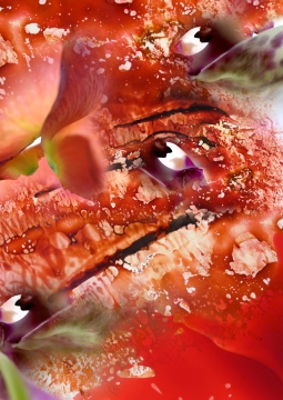 Collage-32
