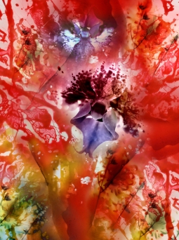 Collage-33