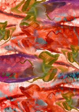 Collage-36