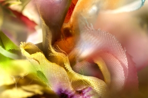 Transconnections