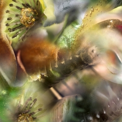 Transconnections-3-Rees-Masilionis-Turley-Architecture-LLC-2014-ArtsKC-Fund-Award
