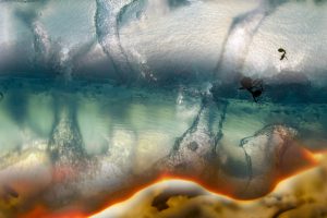 Transformations - Images in Motion