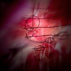 b-VideoStill4 b-VideoStill4