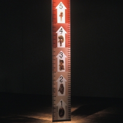 j-measurements3 j-measurements3